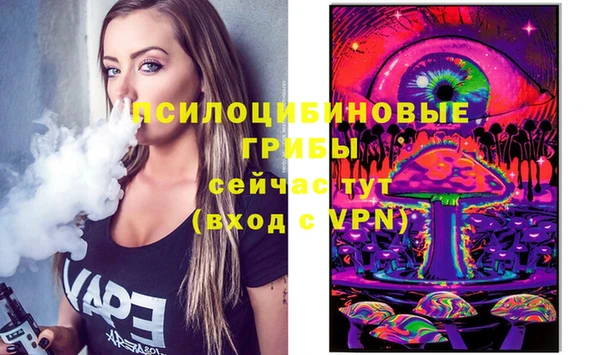 a pvp Белокуриха