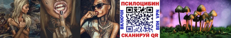 Псилоцибиновые грибы GOLDEN TEACHER Елабуга